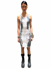 Load image into Gallery viewer, Janus Dust Tank Dress
